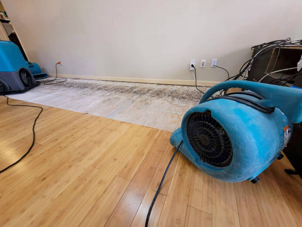 Professional Emergency Water Damage technician working in Natural Bridge, AL